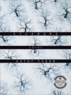 Sycamore - ebook